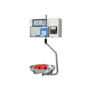 SERIE GPE 6